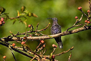 《战锤40K：行商浪人》公布新预告 展示近战和远程战斗